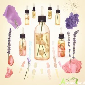 Comment utiliser les huiles essentielles