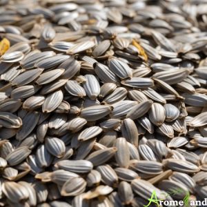 Graines de tournesol