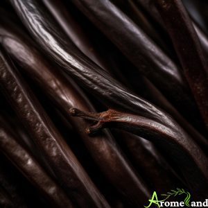 gousse de l'orchidée vanille