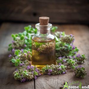 Guide Complet sur les Huiles Essentielles pour Débutants huile essentielle origan