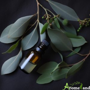 huile essentielle d'eucalyptus